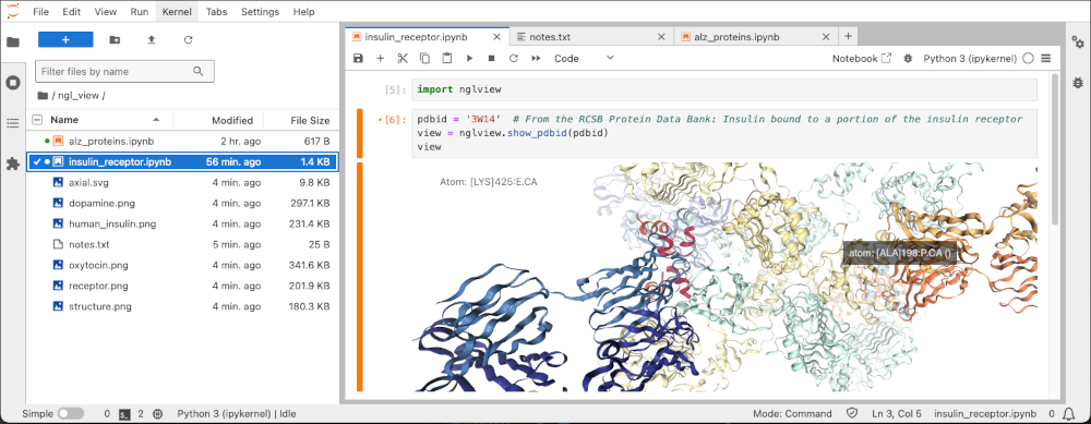 JupyterLab 筆記本編輯器，開啟的筆記本顯示了胰島素受體的互動式檢視